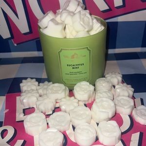 Bath and body works Candle Eucalyptus Mint Wax Melts